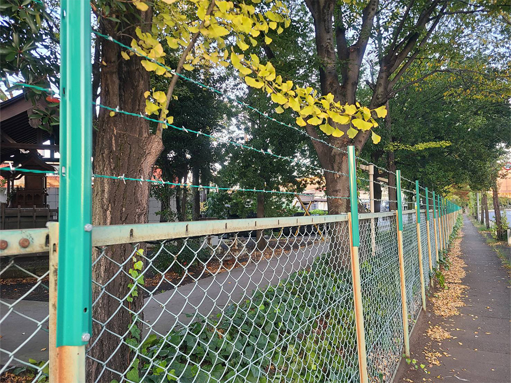 有刺鉄線工事　after